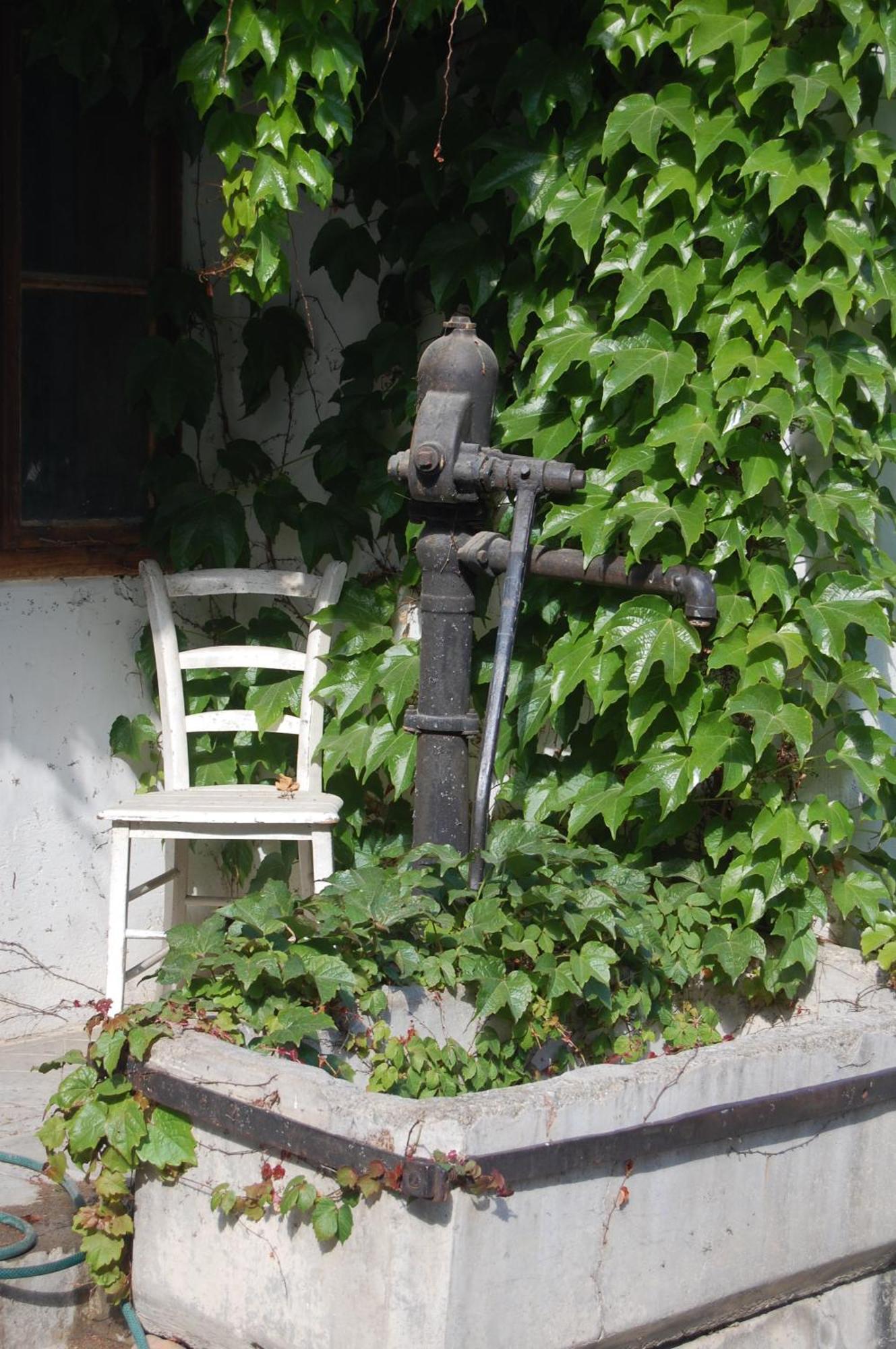 Hofgassl Zentgraf Mörbisch am See Exterior foto